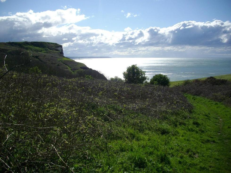 Villa Les Falaises Berneval-le-Grand Buitenkant foto