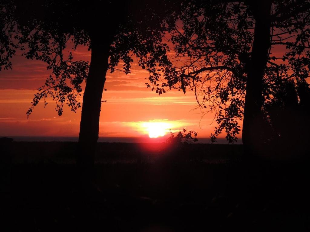 Villa Les Falaises Berneval-le-Grand Buitenkant foto